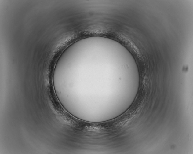X0000094080635200711091216