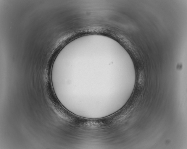 X0000094080636200711091216