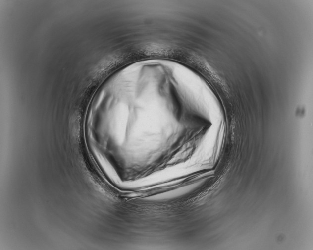 X0000094080637200711091216