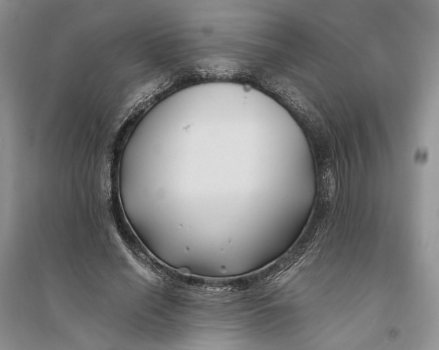 X0000094080638200711091216