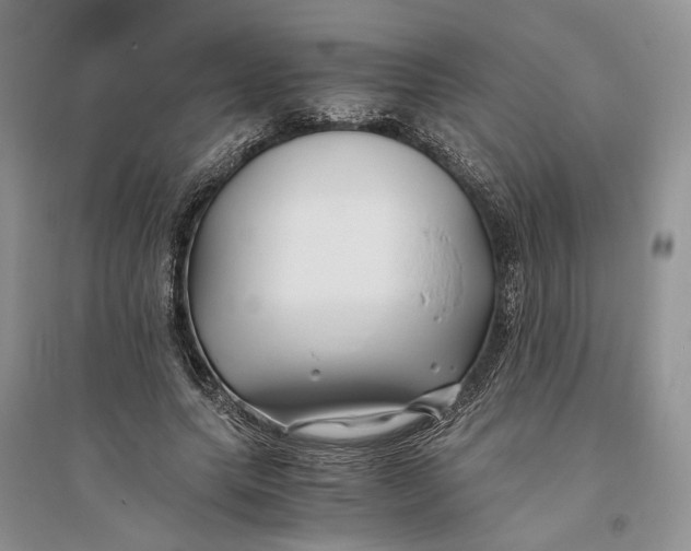X0000094080639200711091216