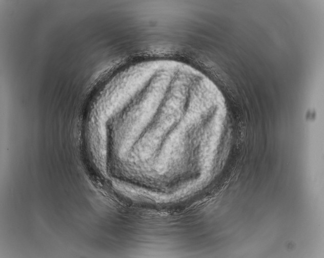 X0000094080640200711091216