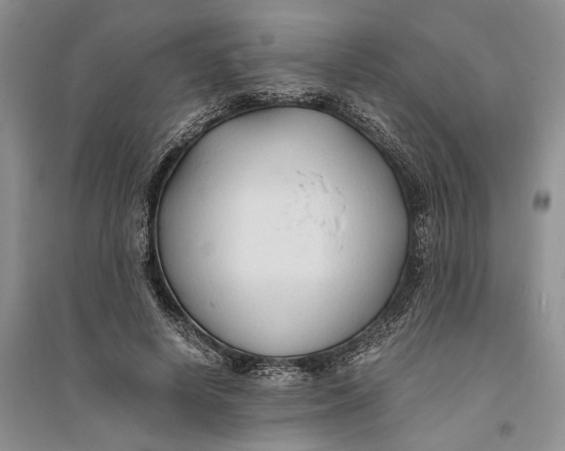X0000094080642200711091216