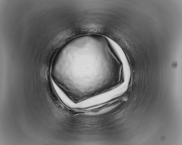 X0000094080643200711091216
