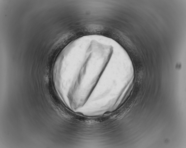 X0000094080644200711091216
