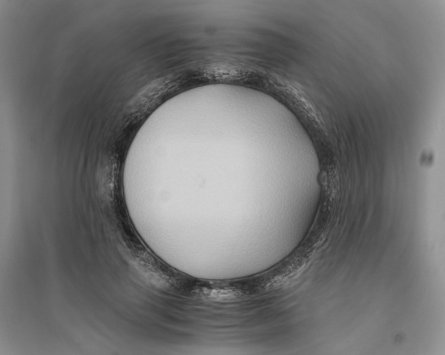 X0000094080645200711091216