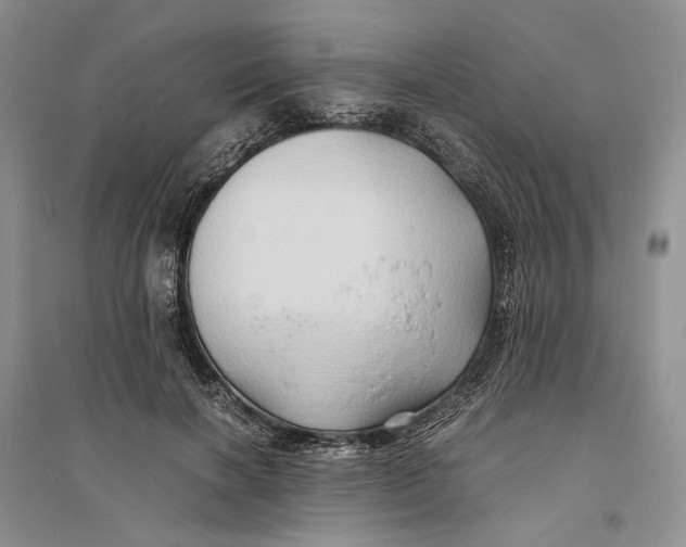 X0000094080646200711091216