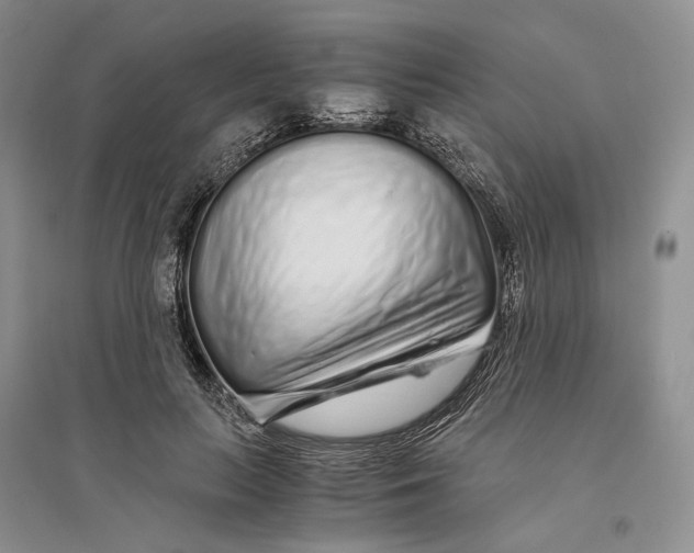 X0000094080647200711091216