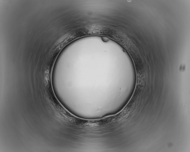 X0000094080648200711091216