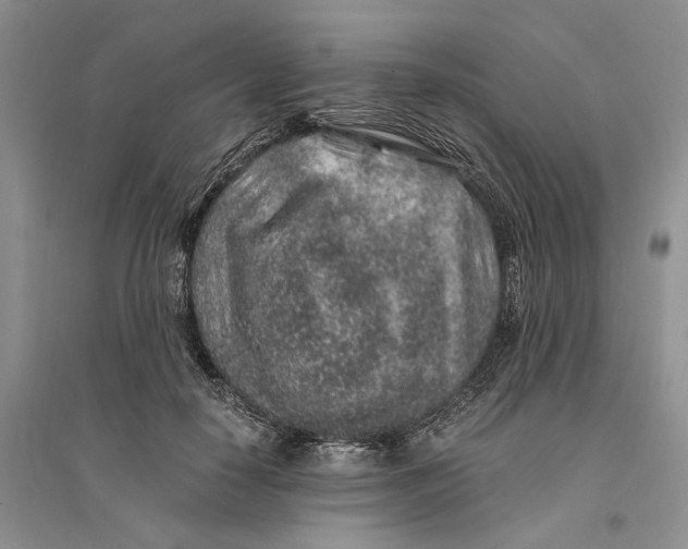 X0000094080650200711091216
