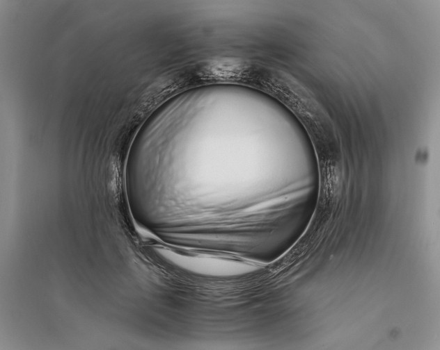 X0000094080651200711091216