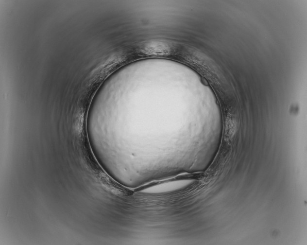 X0000094080652200711091216