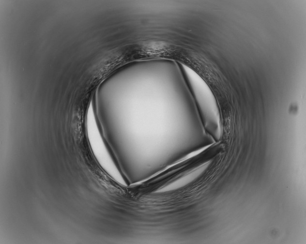 X0000094080653200711091216