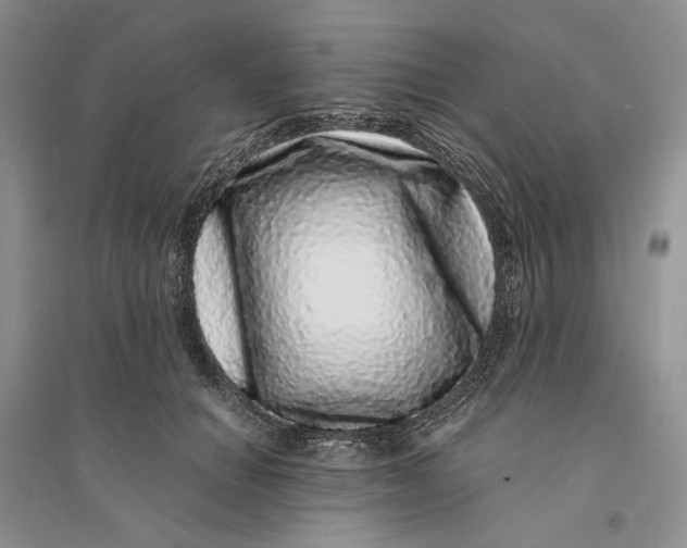 X0000094080654200711091216