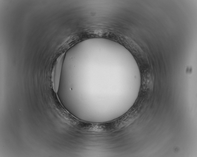 X0000094080656200711091216