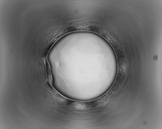 X0000094080658200711091216