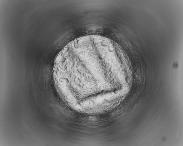 X0000094080659200711091216