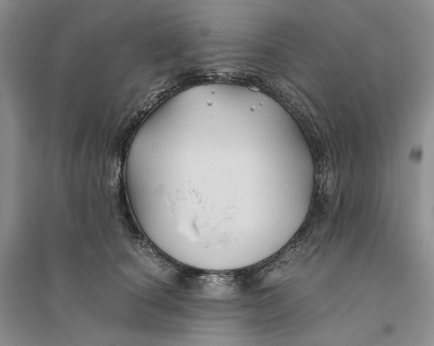 X0000094080660200711091216