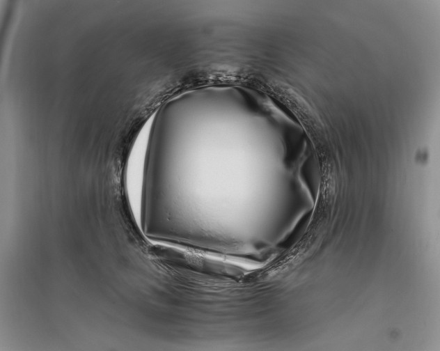 X0000094080661200711091216