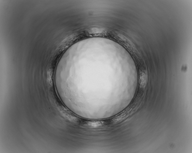 X0000094080662200711091216
