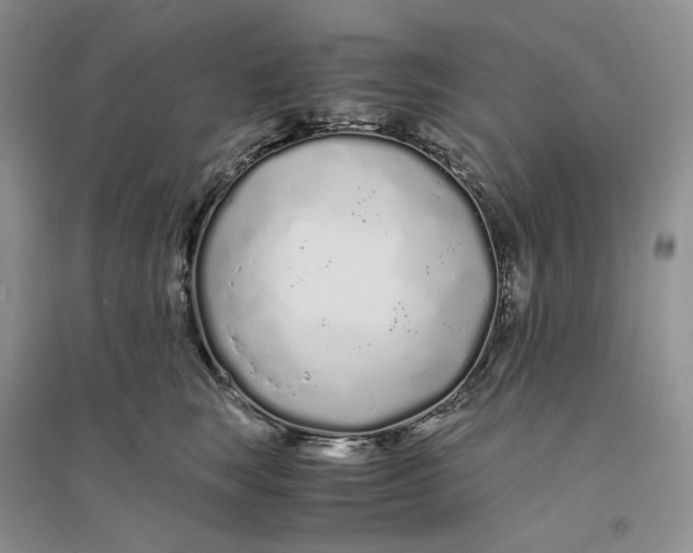 X0000094080663200711091216
