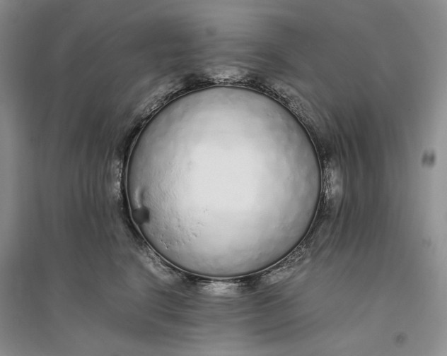 X0000094080664200711091216