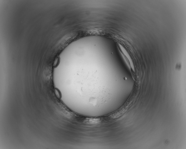X0000094080665200711091216