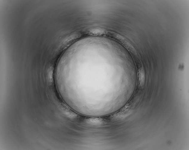 X0000094080668200711091216