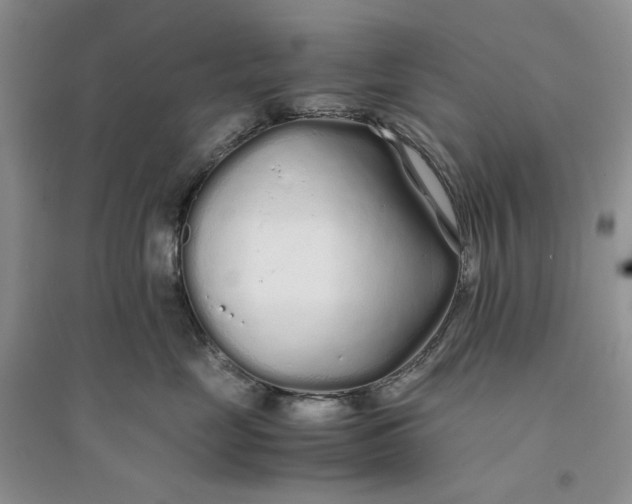X0000094080669200711091216