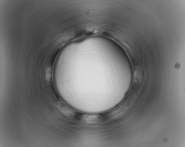 X0000094080671200711091216
