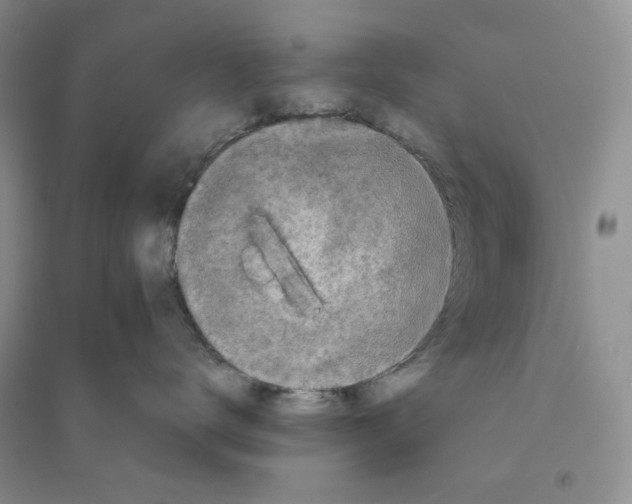 X0000094080672200711091216