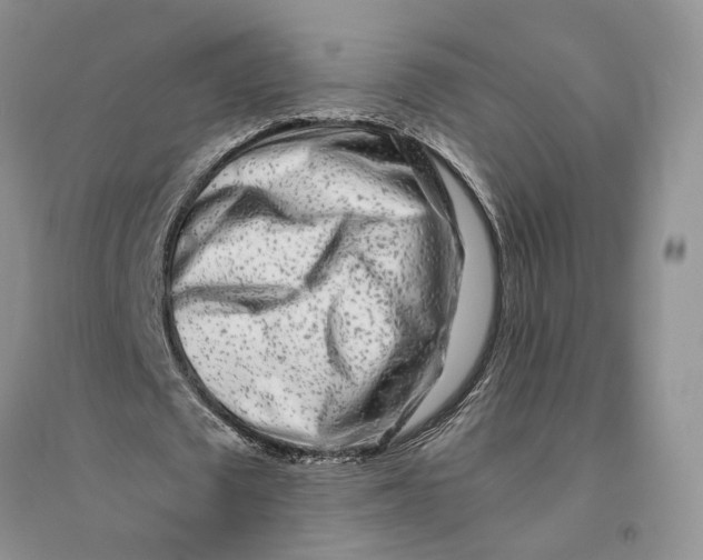 X0000094080673200711091215