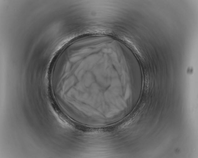 X0000094080674200711091215
