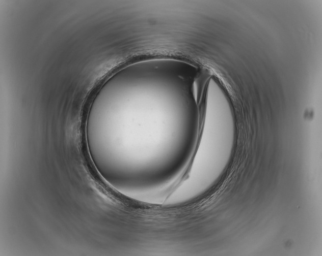 X0000094080677200711091215