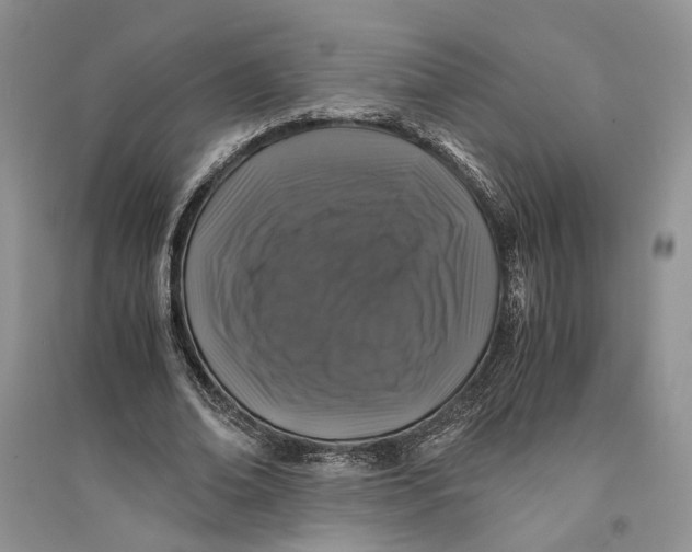 X0000094080678200711091215