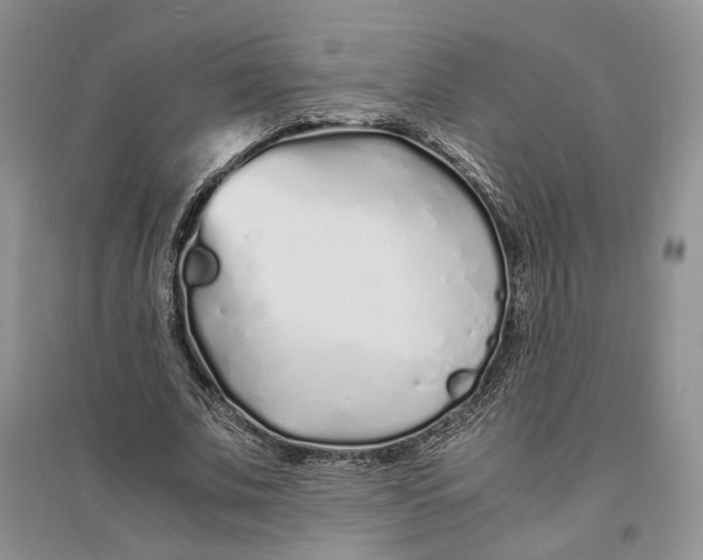 X0000094080679200711091215
