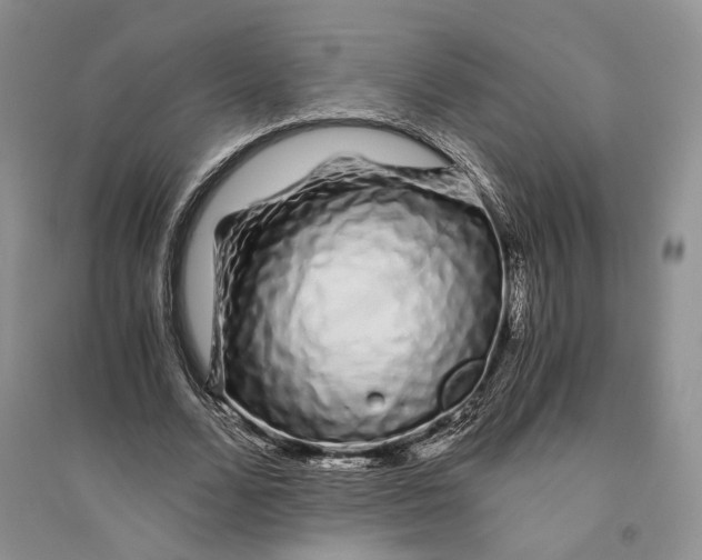 X0000094080680200711091215