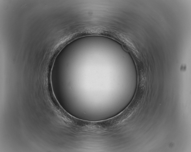 X0000094080681200711091215