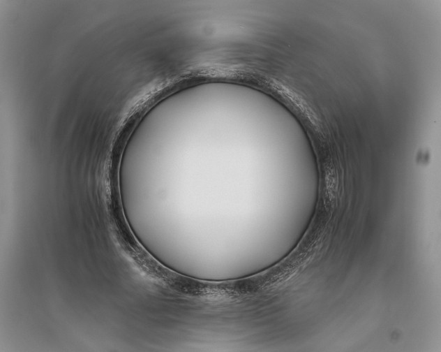 X0000094080682200711091215