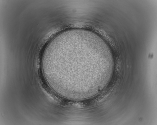 X0000094080683200711091215