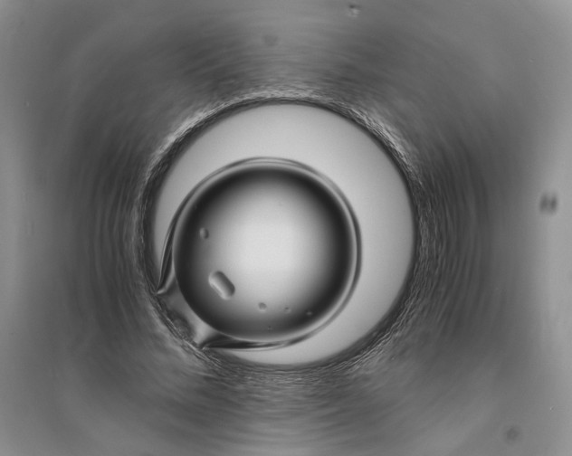 X0000094080684200711091215