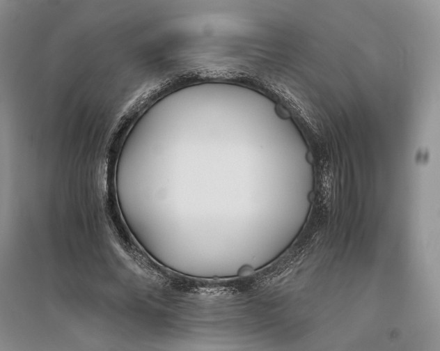 X0000094080686200711091215