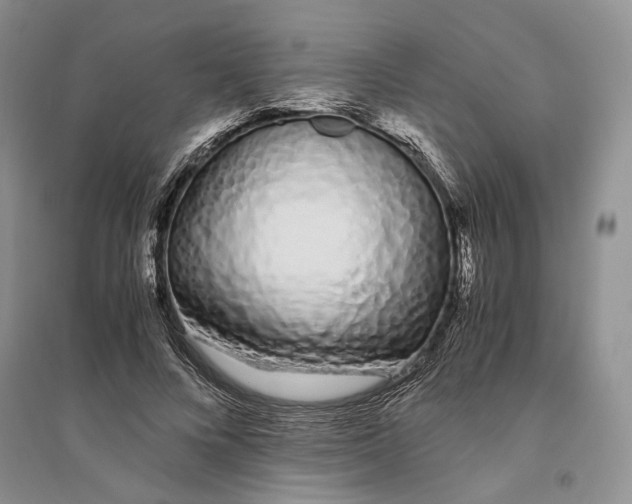 X0000094080688200711091215