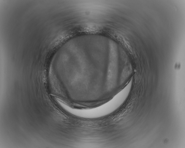 X0000094080689200711091215