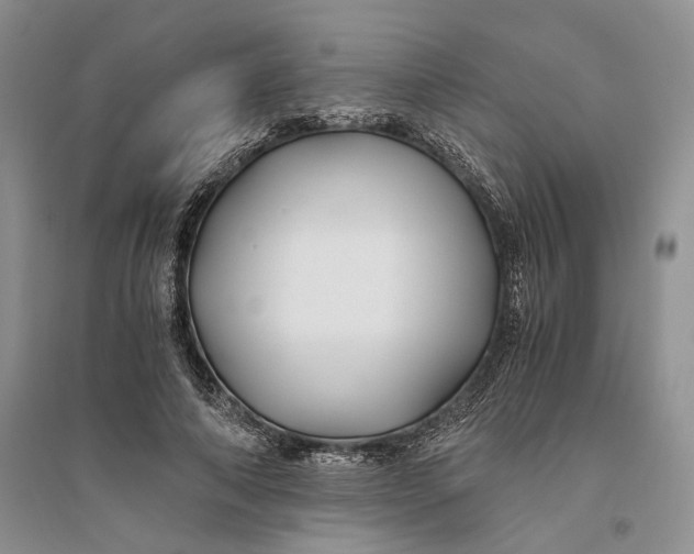 X0000094080690200711091215