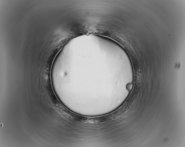 X0000094080691200711091215