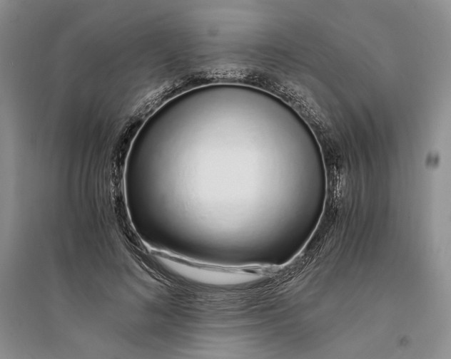 X0000094080692200711091215