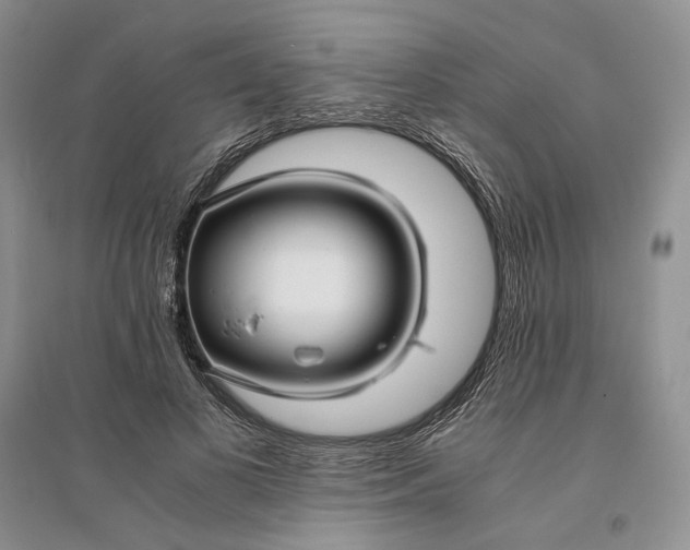 X0000094080693200711091215