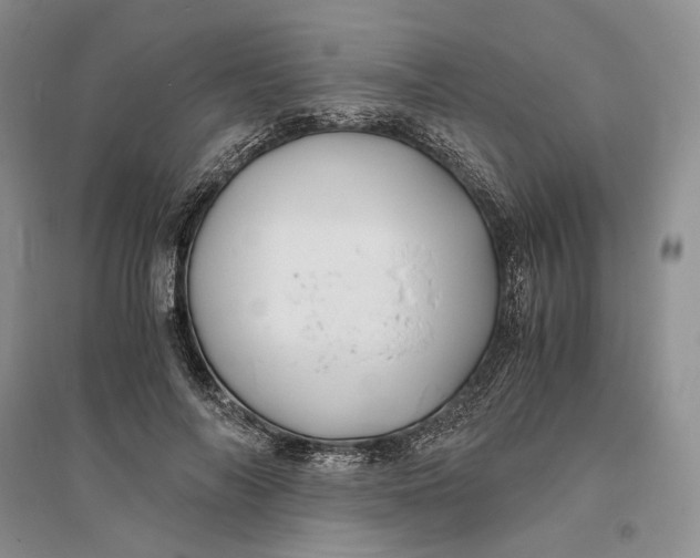 X0000094080694200711091215