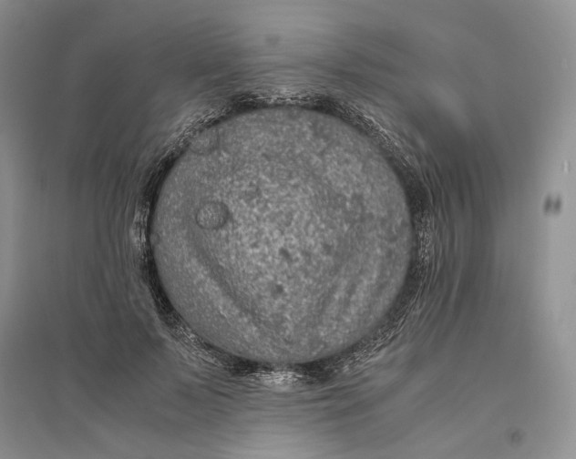 X0000094080695200711091215